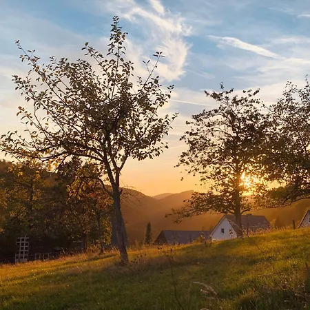 Naturpause Schmallenberg
