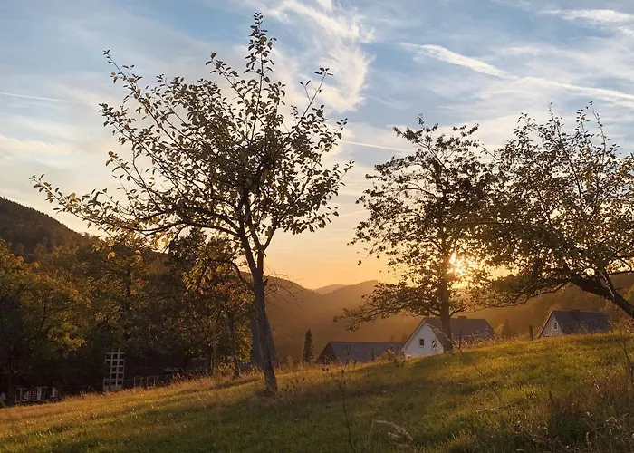 Naturpause Daire Schmallenberg